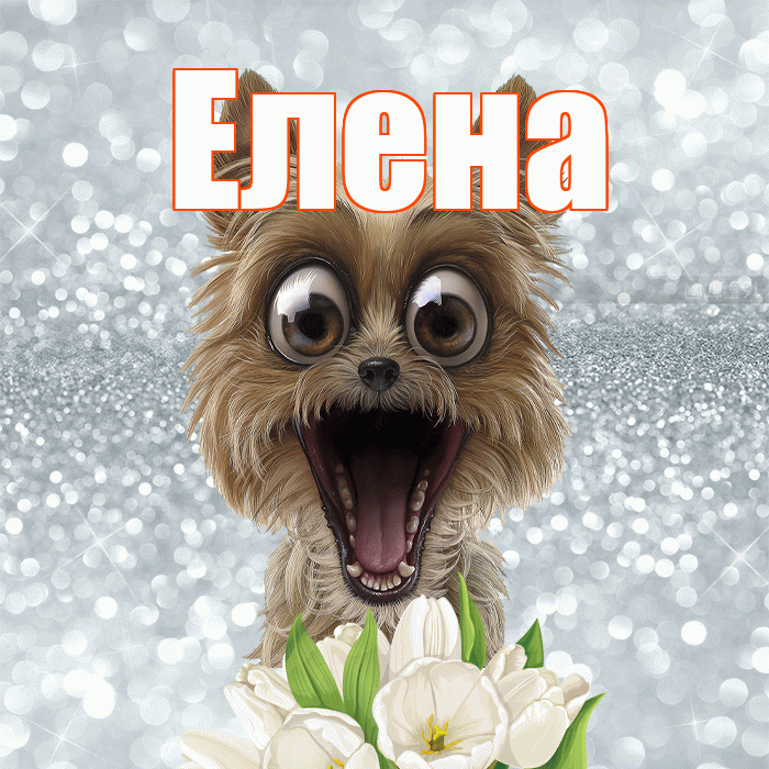 Елена! Желаю хорошего дня! Красивая открытка Елене!