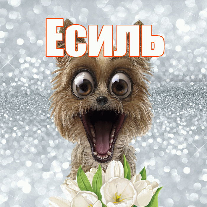 Есиль! Желаю хорошего дня! Красивая открытка Есилю!