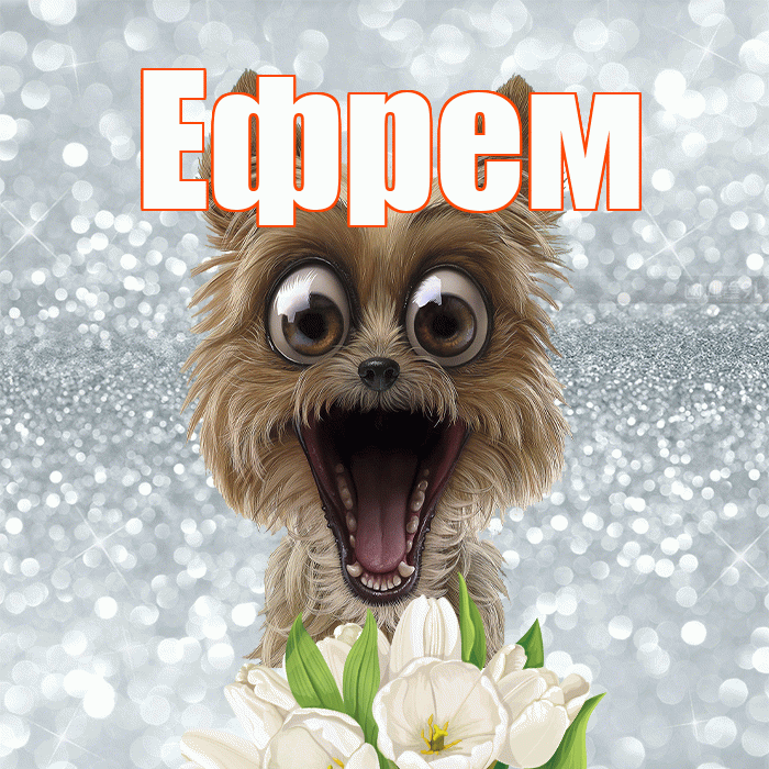 Ефрем! Желаю хорошего дня! Красивая открытка Ефрему!