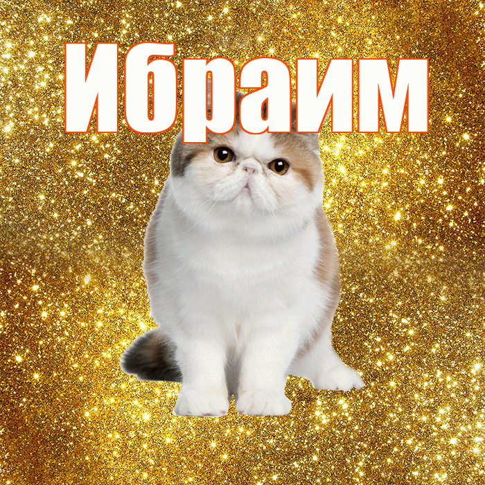 Ибраим! Желаю хорошего дня! Красивая открытка Ибраиму!