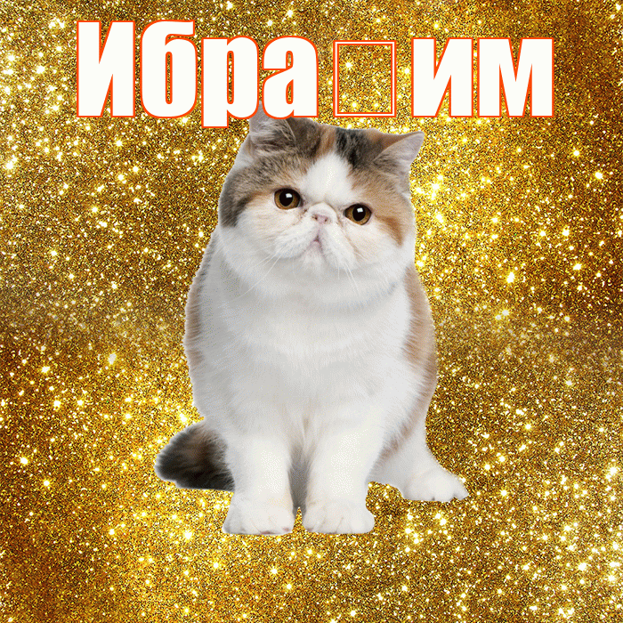 Ибра им! Желаю хорошего дня! Красивая открытка !