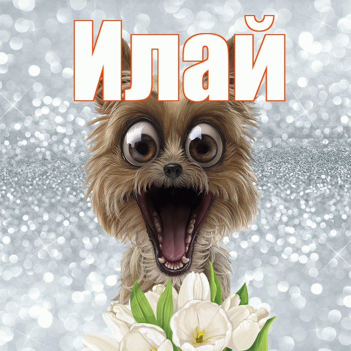 Илай! Желаю хорошего дня! Красивая открытка Илаю!