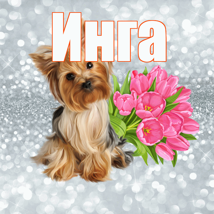 Инга! Желаю хорошего дня! Красивая открытка Инге!