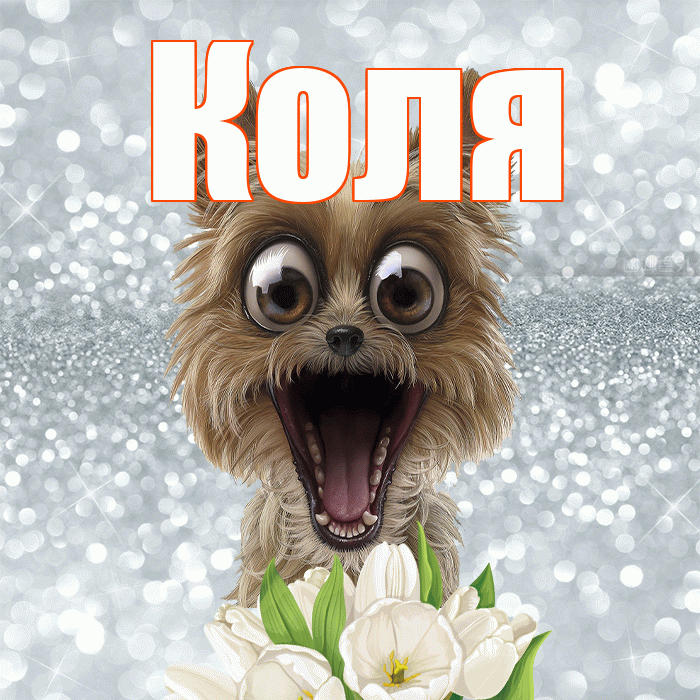 Коля! Желаю хорошего дня! Красивая открытка Коле!