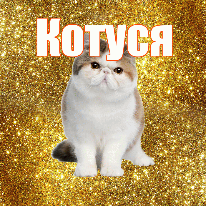 Котуся! Желаю хорошего дня! Красивая открытка Котусе!