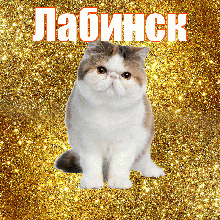 Лабинск! Желаю хорошего дня! Красивая открытка Лабинску!
