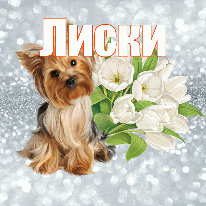 Лиски! Желаю хорошего дня! Красивая открытка Лиски!
