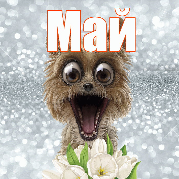 Май! Желаю хорошего дня! Красивая открытка Маю!