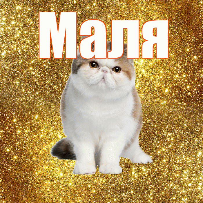 Маля! Желаю хорошего дня! Красивая открытка !