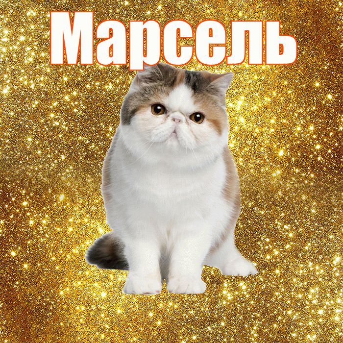 Марсель! Желаю хорошего дня! Красивая открытка Марселю!