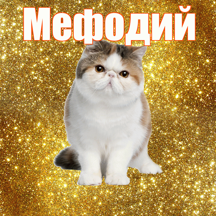 Мефодий! Желаю хорошего дня! Красивая открытка Мефодию!