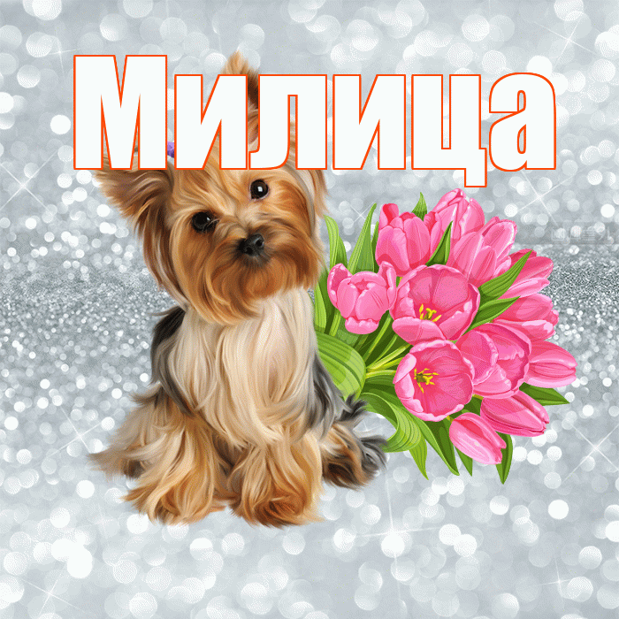 Милица! Желаю хорошего дня! Красивая открытка Милице!