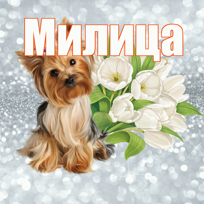 Милица! Желаю хорошего дня! Красивая открытка Милице!