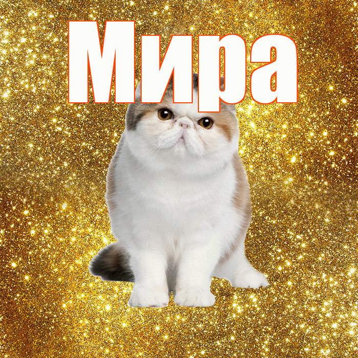 Мира! Желаю хорошего дня! Красивая открытка Миру!