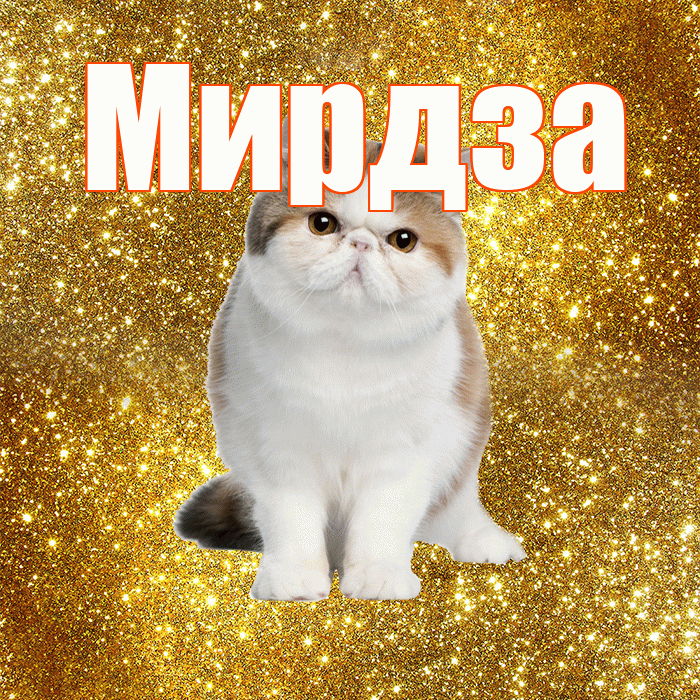 Мирдза! Желаю хорошего дня! Красивая открытка Мирдзой!