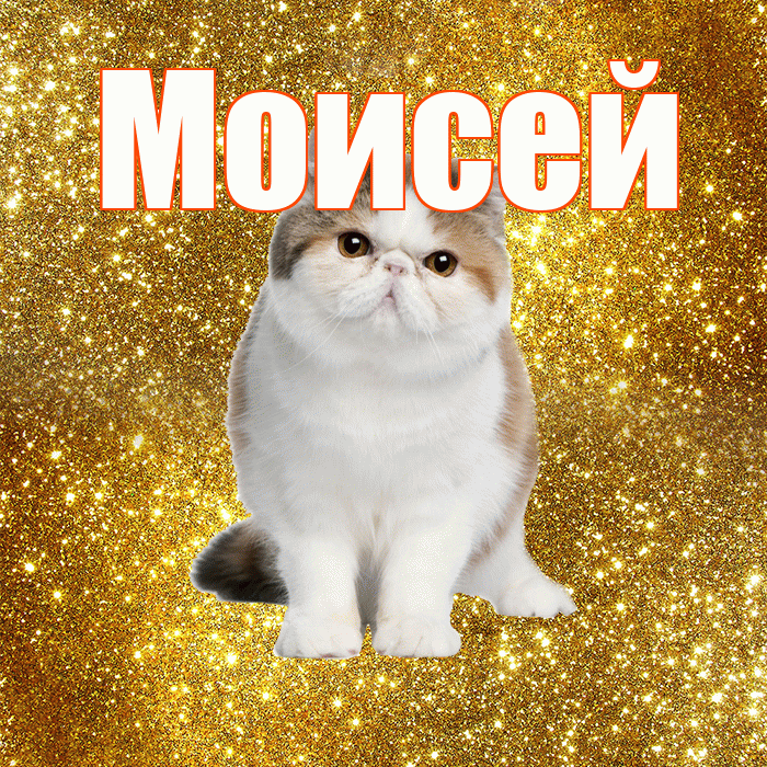 Моисей! Желаю хорошего дня! Красивая открытка Моисею!