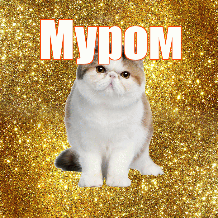 Муром! Желаю хорошего дня! Красивая открытка Мурому!