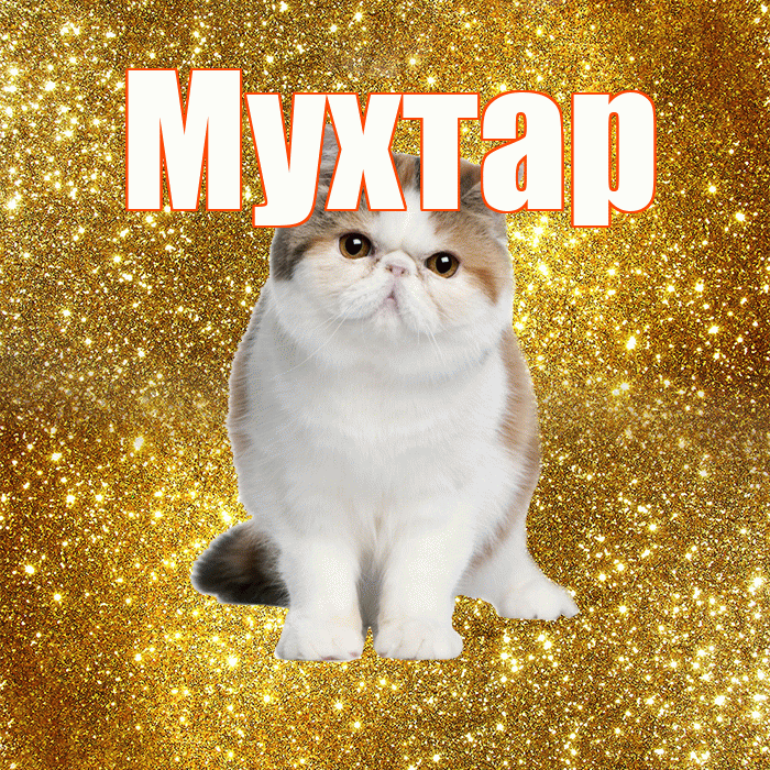 Мухтар! Желаю хорошего дня! Красивая открытка Мухтару!