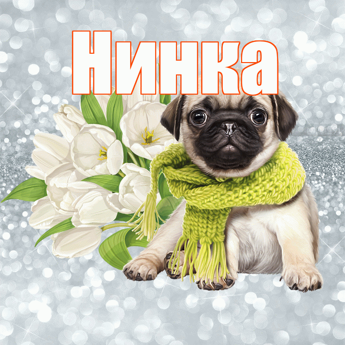 Нинка! Желаю хорошего дня! Красивая открытка !