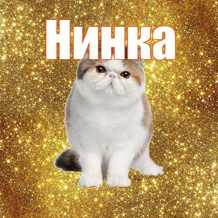 Нинка! Желаю хорошего дня! Красивая открытка !