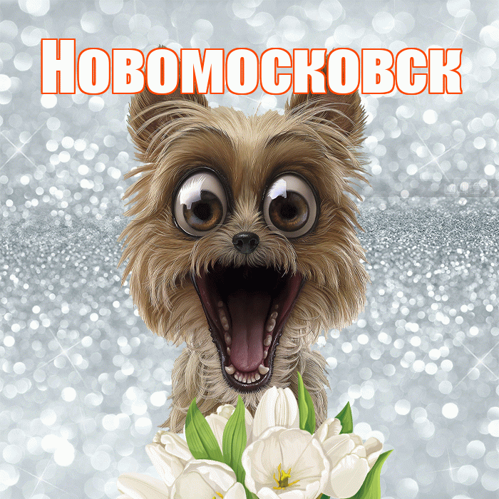 Новомосковск! Желаю хорошего дня! Красивая открытка Новомосковску!