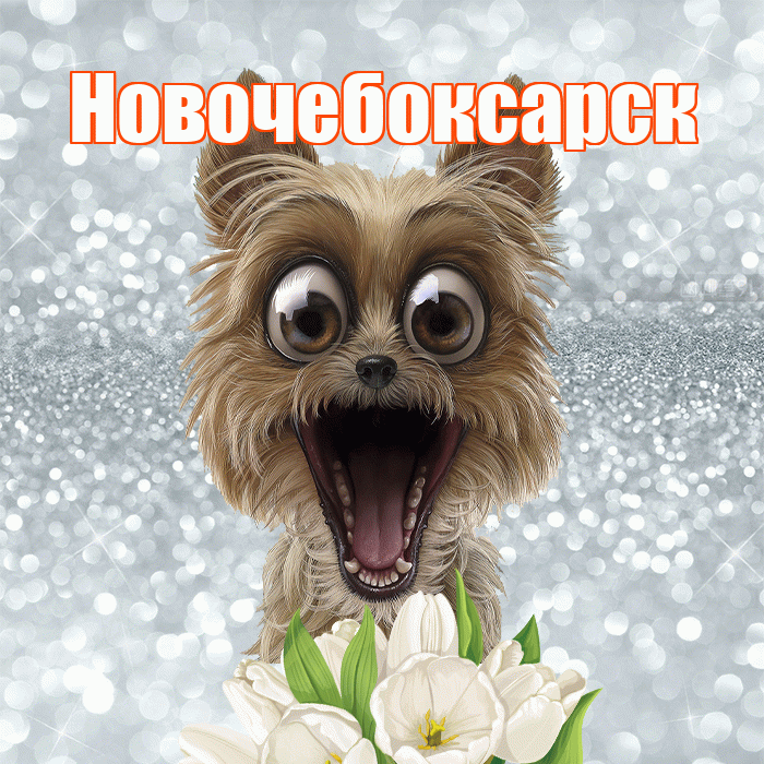 Новочебоксарск! Желаю хорошего дня! Красивая открытка Новочебоксарску!
