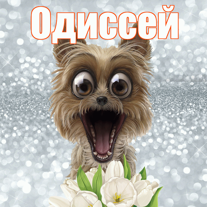 Одиссей! Желаю хорошего дня! Красивая открытка Одиссею!
