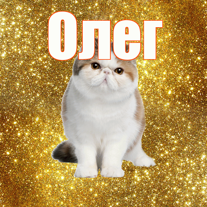 Олег! Желаю хорошего дня! Красивая открытка Олегу!
