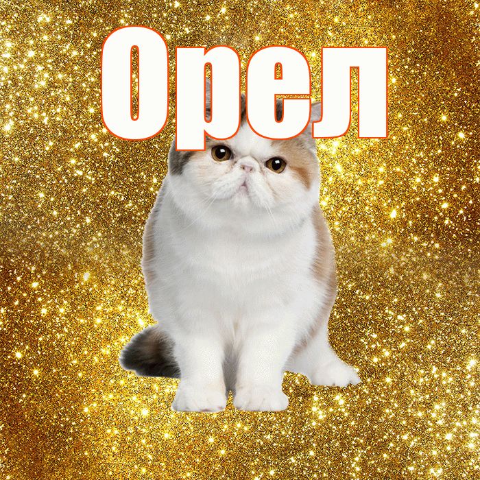 Орел! Желаю хорошего дня! Красивая открытка Орелу!