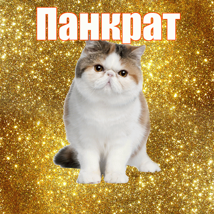 Панкрат! Желаю хорошего дня! Красивая открытка Панкрату!