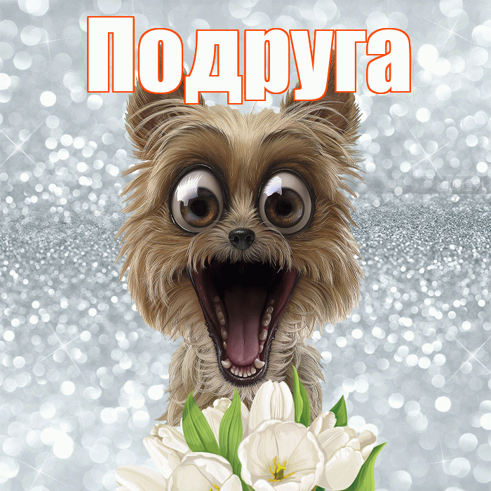 Подруга! Желаю хорошего дня! Красивая открытка Подруге!