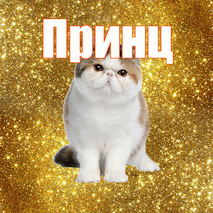 Принц! Желаю хорошего дня! Красивая открытка Принцу!