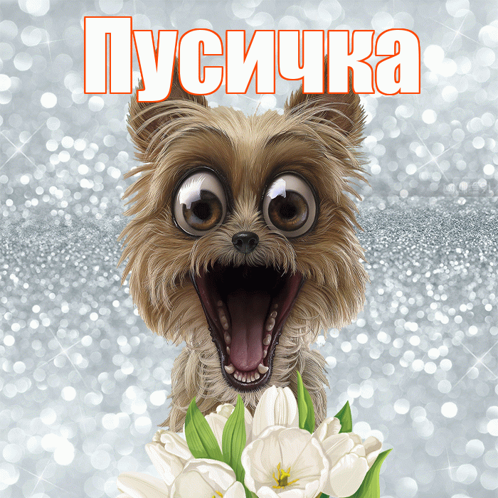 Пусичка! Желаю хорошего дня! Красивая открытка Пусичке!