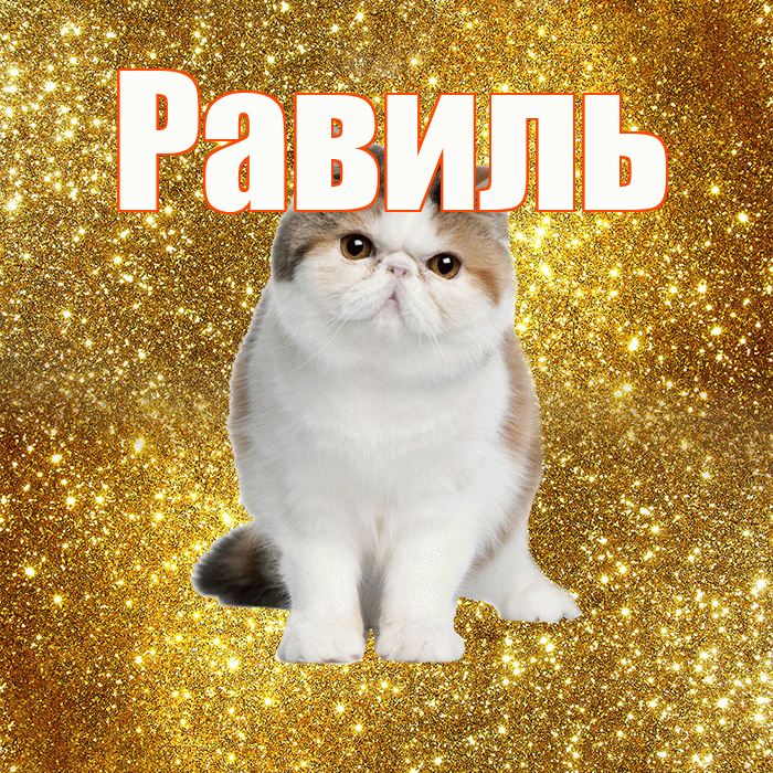 Равиль! Желаю хорошего дня! Красивая открытка Равилю!