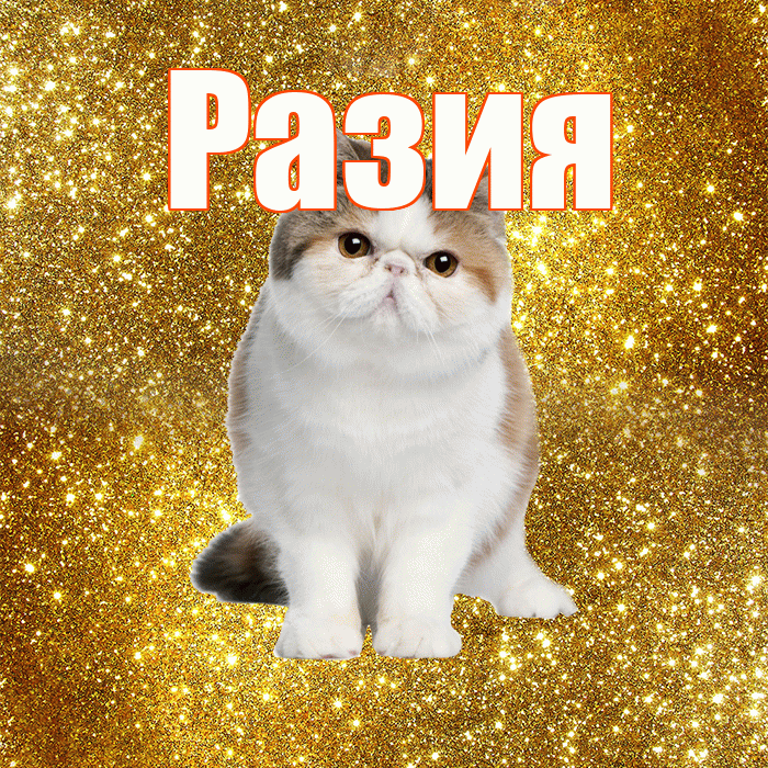 Разия! Желаю хорошего дня! Красивая открытка Разии!