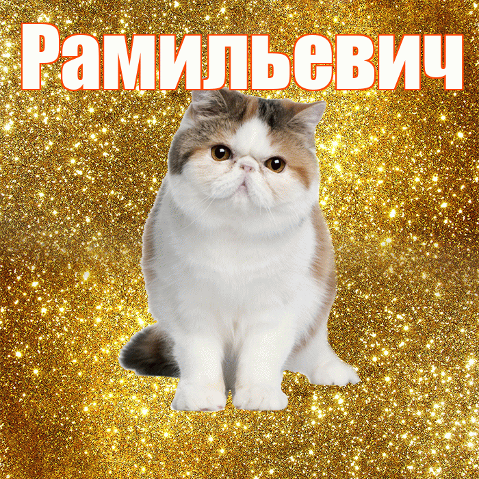 Рамильевич! Желаю хорошего дня! Красивая открытка Рамильевичу!