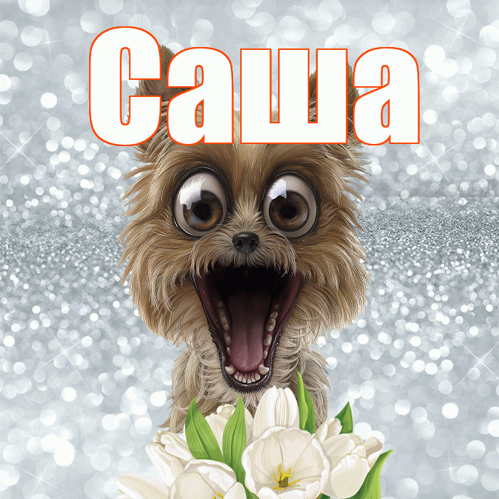 Саша! Желаю хорошего дня! Красивая открытка Саше!