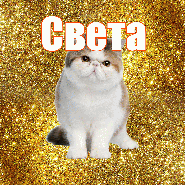 Света! Желаю хорошего дня! Красивая открытка Свету!
