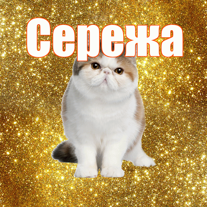 Сережа! Желаю хорошего дня! Красивая открытка Серёжащей!