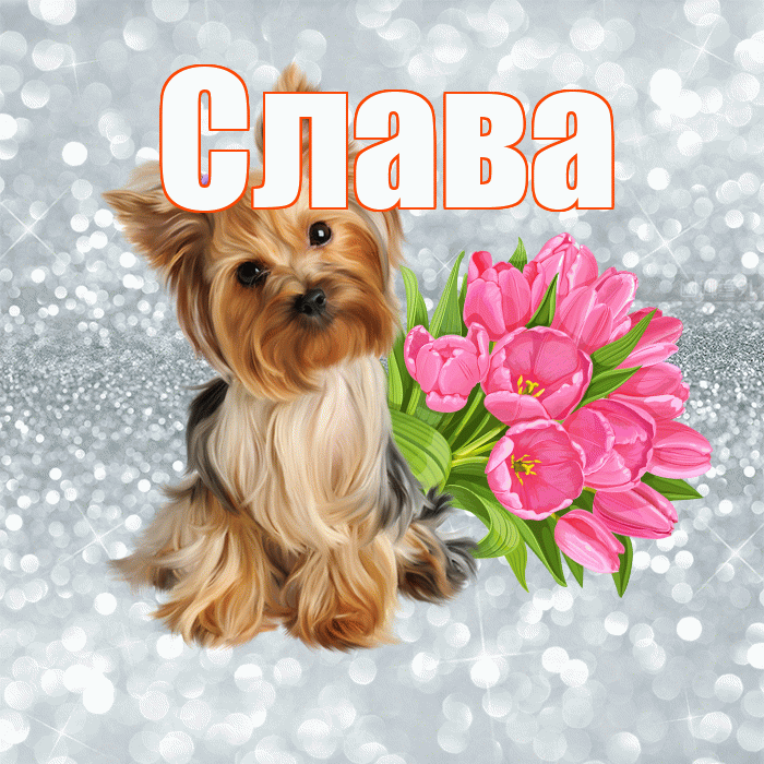 Слава! Желаю хорошего дня! Красивая открытка Славе!
