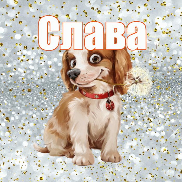 Слава! Желаю хорошего дня! Красивая открытка Славе!