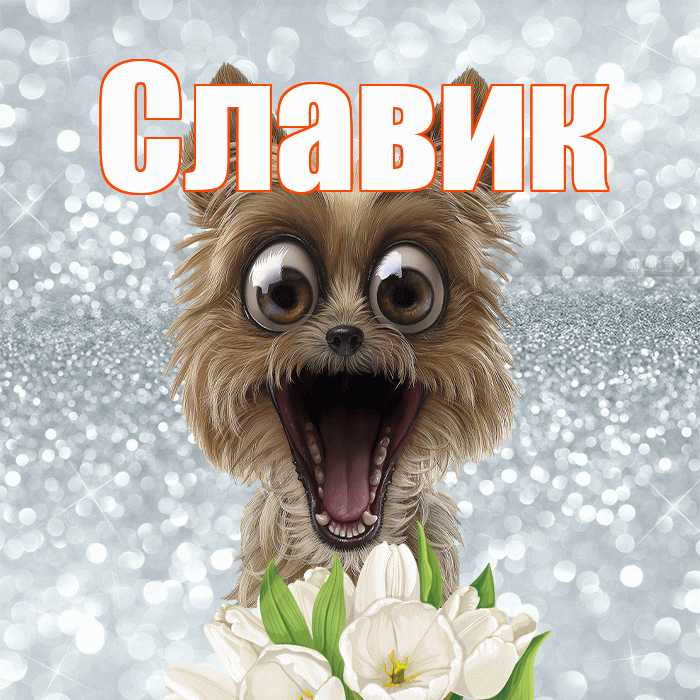 Славик! Желаю хорошего дня! Красивая открытка !