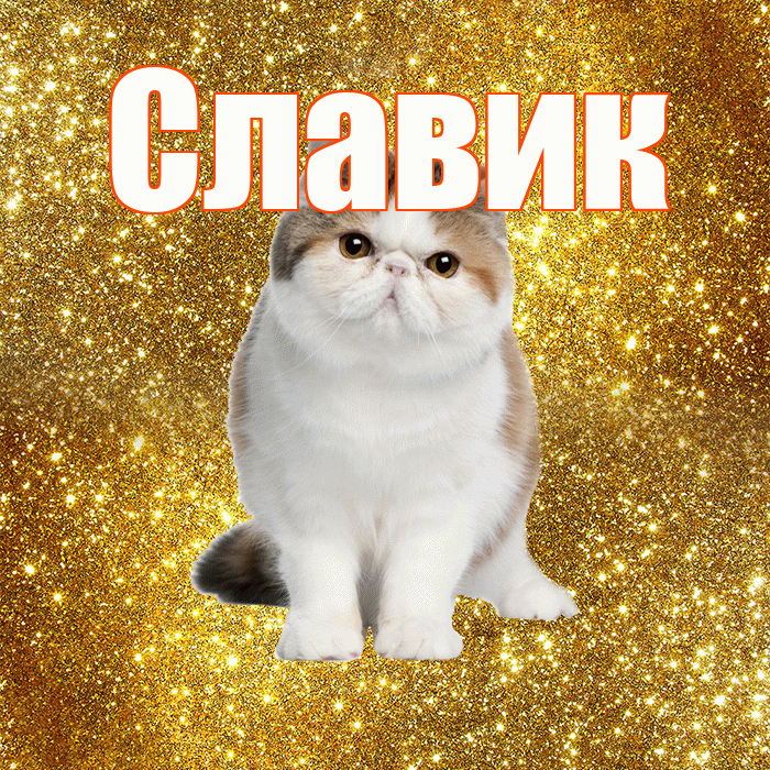 Славик! Желаю хорошего дня! Красивая открытка !