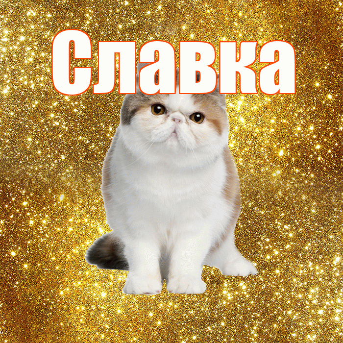 Славка! Желаю хорошего дня! Красивая открытка !