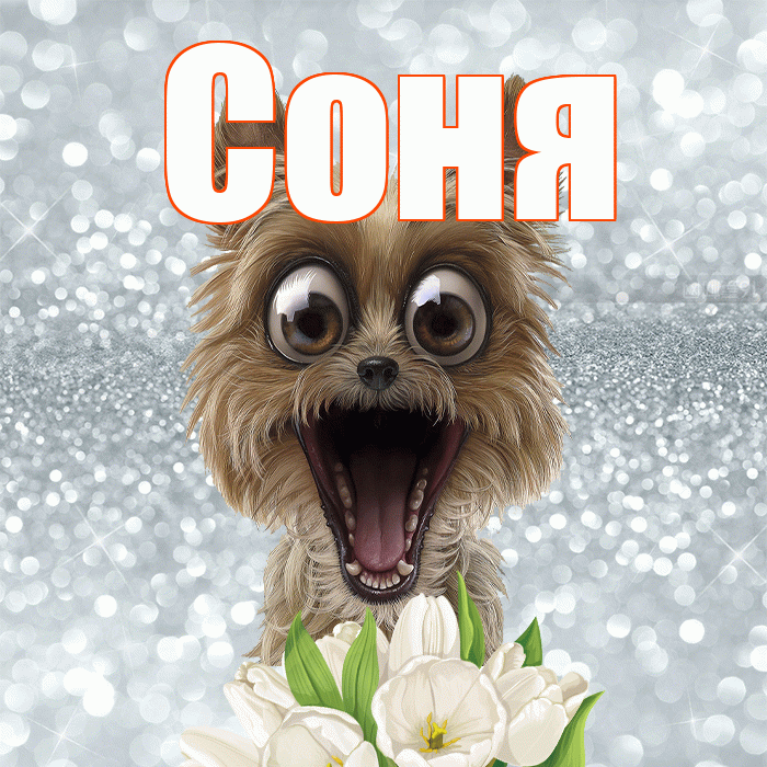 Соня! Желаю хорошего дня! Красивая открытка Соне!