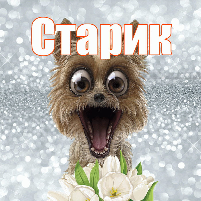 Старик! Желаю хорошего дня! Красивая открытка Старику!