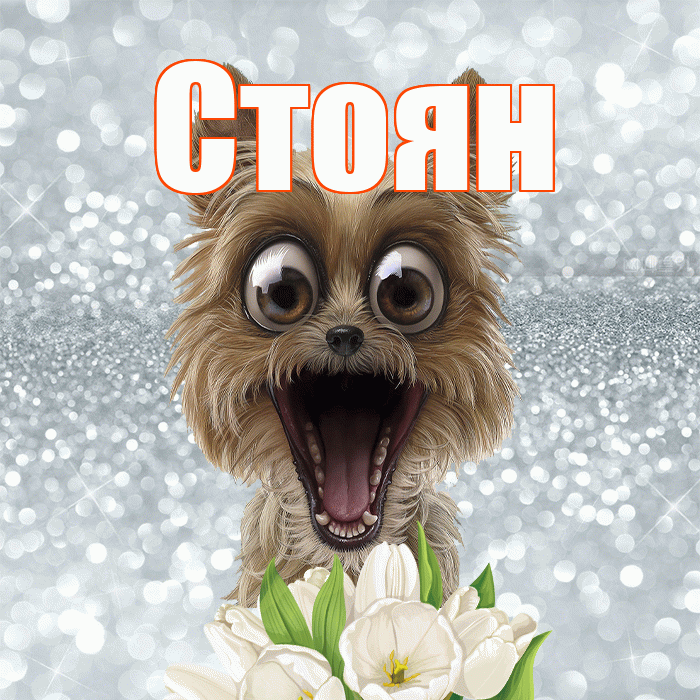 Стоян! Желаю хорошего дня! Красивая открытка Стоявшему!