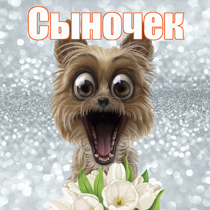 Сыночек! Желаю хорошего дня! Красивая открытка Сыночку!