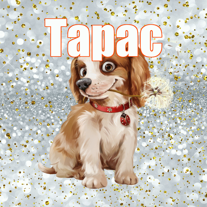 Тарас! Желаю хорошего дня! Красивая открытка Тарасу!