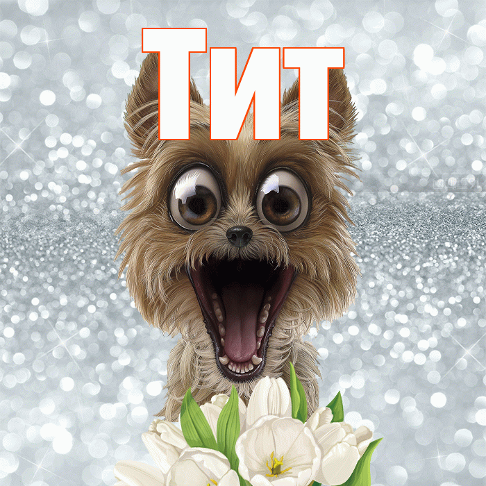 Тит! Желаю хорошего дня! Красивая открытка Титу!